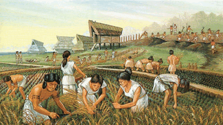 0901fxea-985e-325x183.png