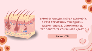 Терморегуляція. Перша допомога в разі термічних ушкоджень шкіри (опіків, обморожень), теплового та сонячного удару.