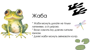 Дивовижний світ тварин: цікаві факти