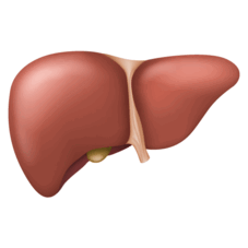 0901fzp0-a38c-500x501.png