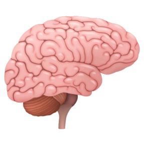 0901fzp4-7ccd-500x501.png