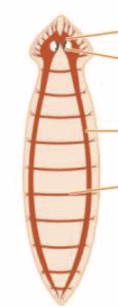 0901fzvh-e7e2-118x307.png