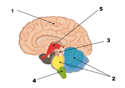 0901g02z-6ab6-438x308.png