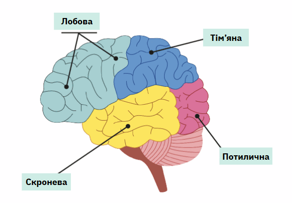 0901g05y-2c73-597x417.png