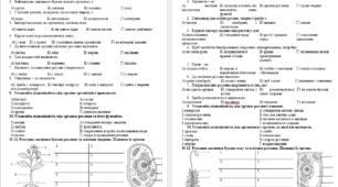 Контрольна робота з теми "Пізнаємо різноманіття організмів"