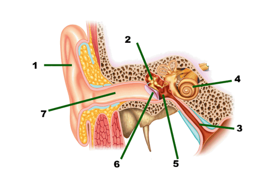 0901g12o-0d3e-527x357.png
