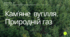 Кам'яне вугілля. Природній газ