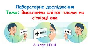 Презентація: Лабораторне дослідження «Виявлення сліпої плями на сітківці ока». 8 клас НУШ