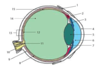 0901g6cd-f11c-154x103.png