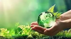 The world of nature