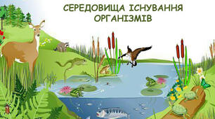 Діагностична робота №5 Тема: «Пізнаємо взаємозв’язки у природі» за групами результатів