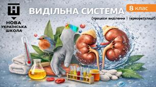 Виділення. Терморегуляція. 8 клас НУШ