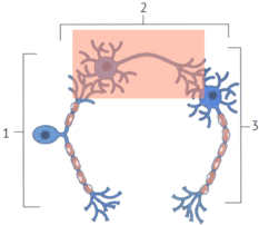 0901gdzo-ec79-233x202.png