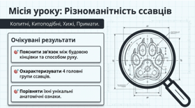7 клас НУШ. Копитні. Китоподібні. Хижі. Примати