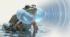 Проєкт «Різноманітність амфібій своєї місцевості» 🐸🦎7 кл НУШ