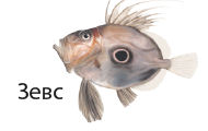 0901gewv-3c77-190x120.png