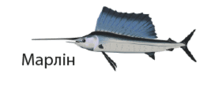 0901gez4-2b15-211x96.png