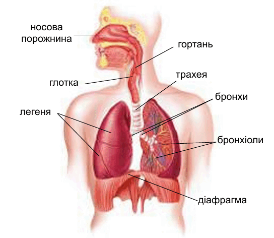 0901gfeg-a705-544x472.png
