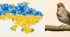 Презентація "Наша рідна Україна, мов веснянка солов'їна" 2 клас. НУШ