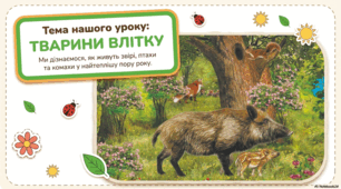 Презентація « Тварини влітку.» до підручника Н.О.Будної ЯДС 1 клас 2 частина