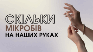 Скільки мікробів на наших руках