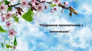 «Поєднання прикметників з іменниками»