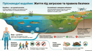 Презентація " Урок екскурсія на водойму"