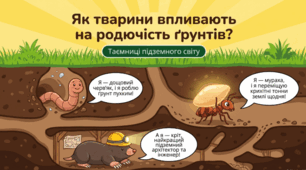 Дослідницький проєкт: "Як тварини впливають на родючість грунту".