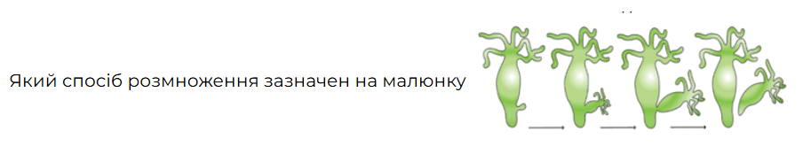 0901gt73-ae9a-913x183.png