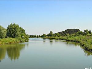 0901gul6-0815-300x226.jpg