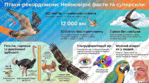 Комплект матеріалів "День зустрічі птахів"