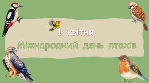 Міжнародний день птахів
