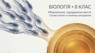 Статеві клітини. Запліднення. 8 клас НУШ