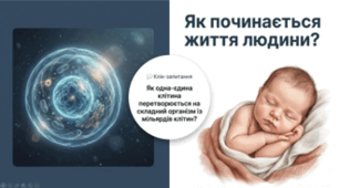 Вагітність. Ембріональний період розвитку людини.8 клас НУШ