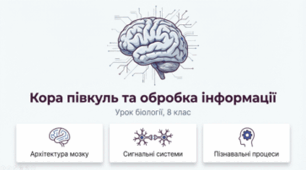 Кора півкуль та обробка інформації. 8 клас НУШ
