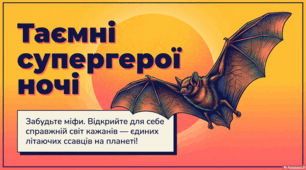 Кажани: таємниці та суперздібності нічних володарів неба