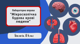 Лабораторна вправа "Мікроскопічна будова крові людини"