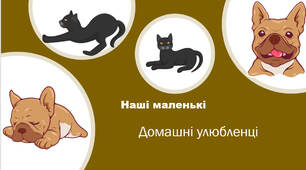 Заняття для дошкільнят "Мої домашні улюбленці"