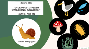 Робочий аркуш до виконання практичної вправи “Особливості будови черевоногих молюсків (на прикладі равлика виноградного)”. 7 клас