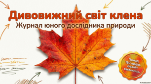 Клен: Велич Природи, Символіка та Практичне Значення