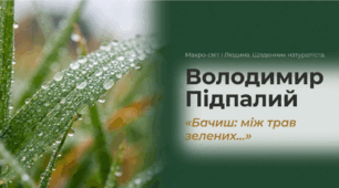 Володимир Підпалий. Поезія «Бачиш: між трав зелених…». Ідея гуманізму, людяності, дбайливе ставлення до природи та всього живого. Піклування ліричного героя про природу рідного краю.