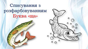 1 клас 💖 Списування з розфарбовуванням - буква "ща"