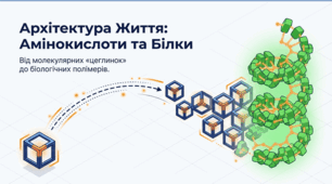 Поняття про амінокислоти. Білки як біологічні полімери