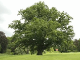 0901hccm-f433-158x118.png