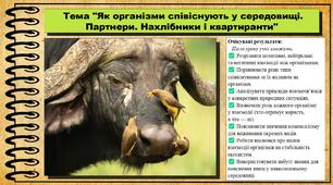 Як організми співіснують у середовищі. Партнери. Нахлібники і квартиранти. 6 клас (НУШ). Пізнаємо природу. За підручником Біди Дарії.