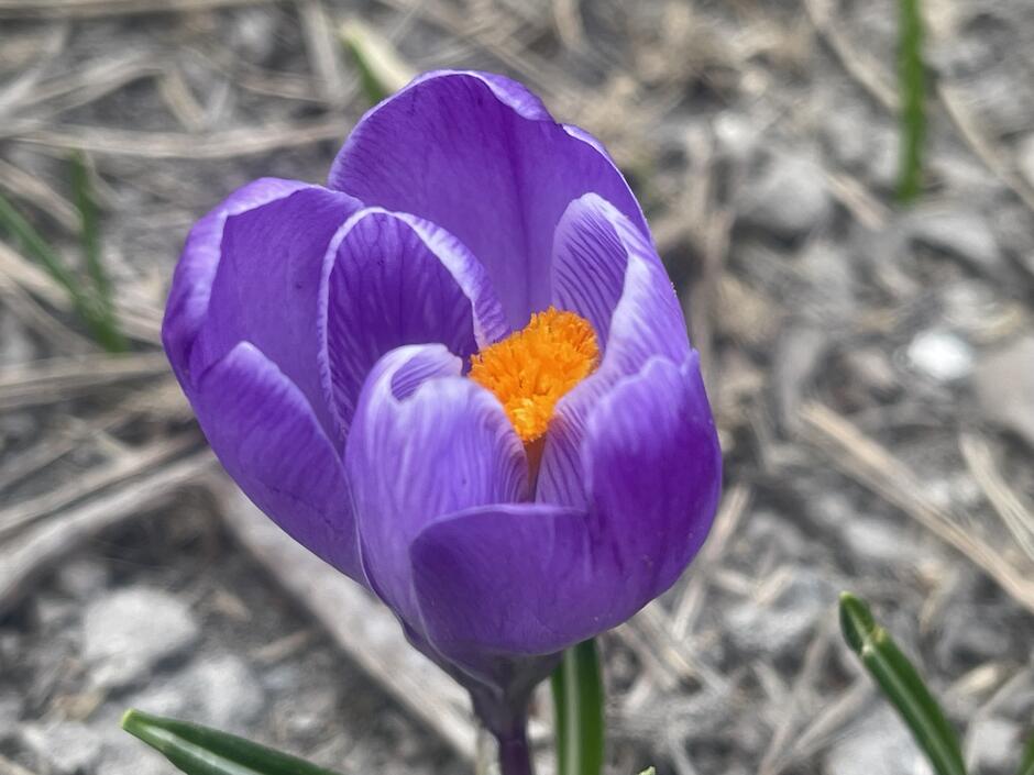 0901hdev-6c04-940x705.jpg