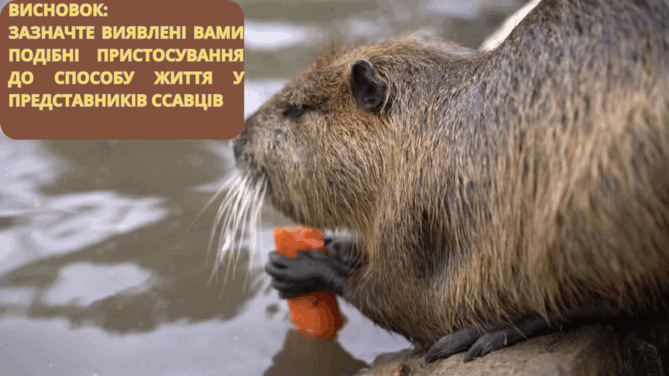 0901hdg8-21b5-669x376.png