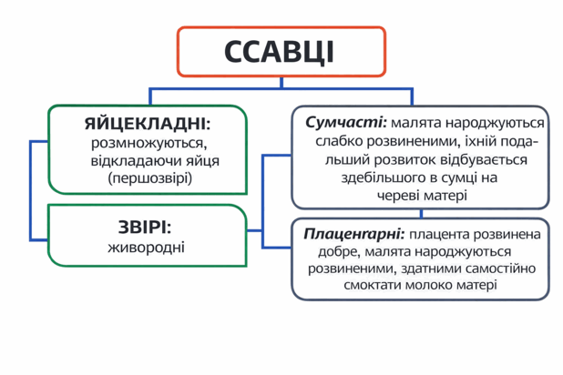 0901hdsg-651a-618x412.png