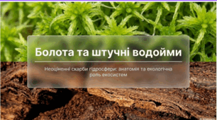 Болота. Штучні водойми