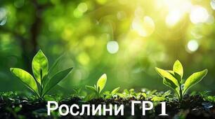 Рослини. НУШ 5 клас.